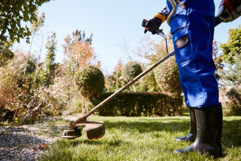 Profissão de jardineiro: tudo para você decolar na carreira