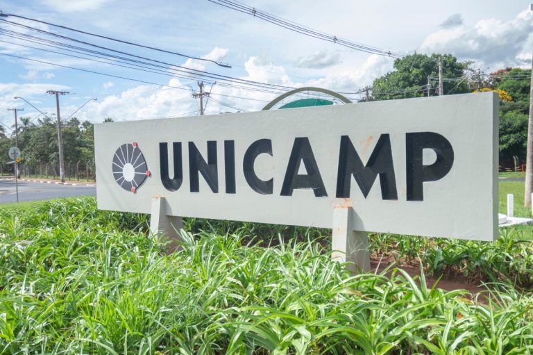 USP e Unicamp oferecem cursos de graça para todos